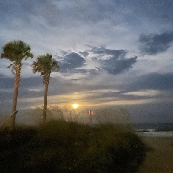 Meet your Posher, Harmony - Picture 6 of 8